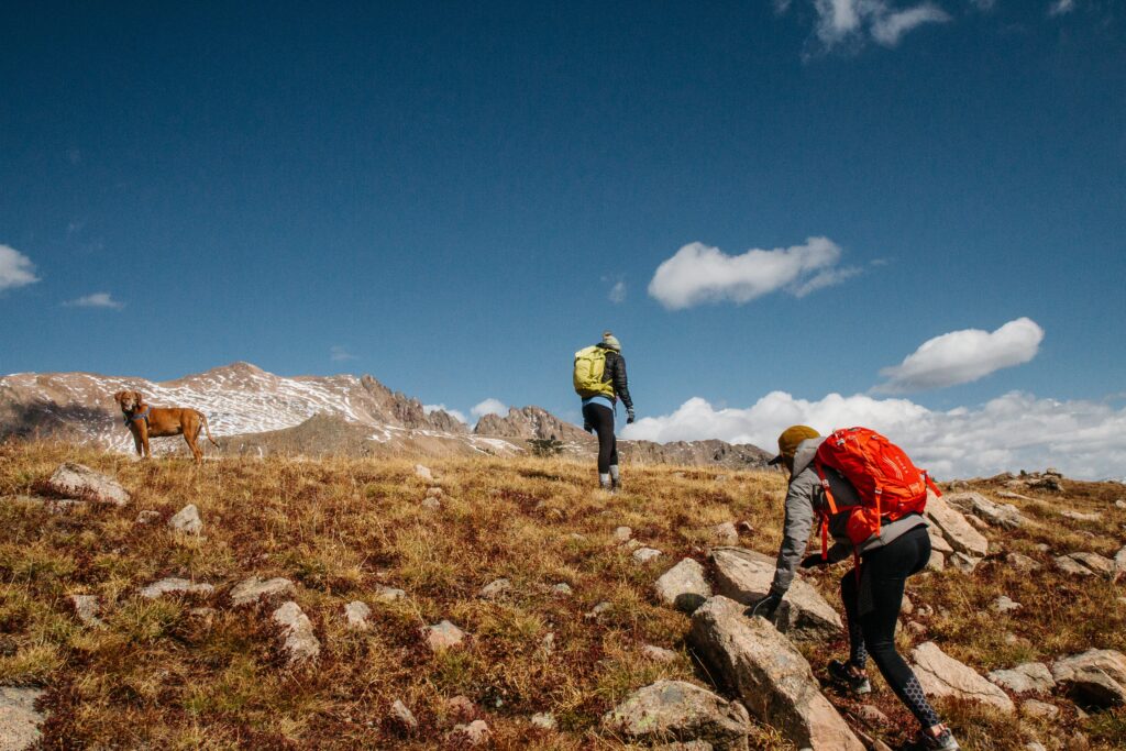 people hiking in the mountain